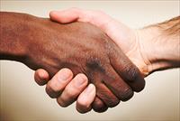 Елиминације свих облика расне дискриминације