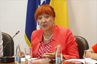 dr. Jasminka Džumhur, ombudsman