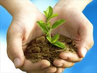 Environmental Protection, Illustration